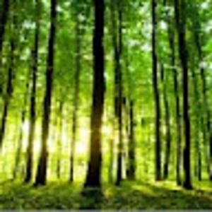 Meet your Posher, Shayne